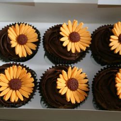 Sunflower Cupcakes. £2 each