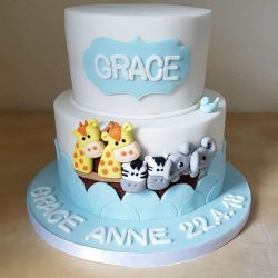 Noahs Ark Communion Cake